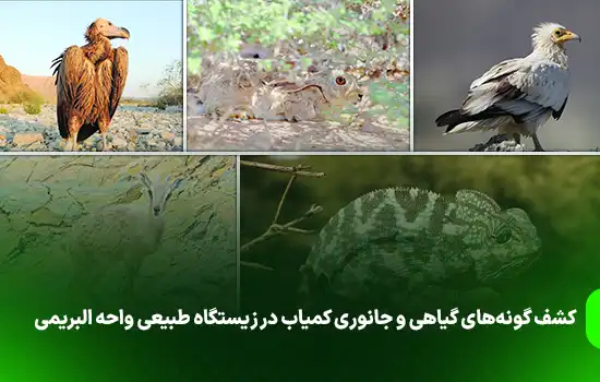 Al Buraimi Oasis Nature Reserve is rich in wildlife