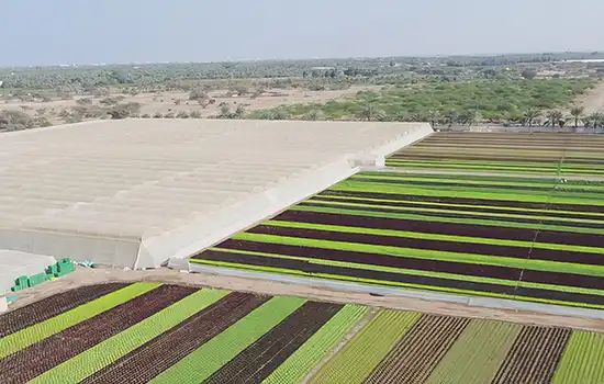 Progress in Oman's Food Security Index