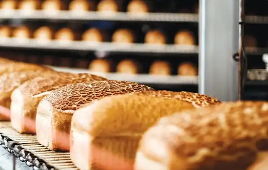 Oman Food City Project at Khazaen