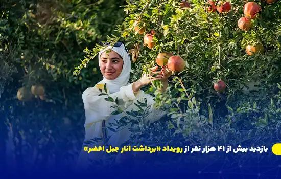 بازدید بیش از ۴۱ هزار نفر از رویداد «برداشت انار جبل اخضر» 6 بازدید بیش از ۴۱ هزار نفر از رویداد «برداشت انار جبل اخضر»