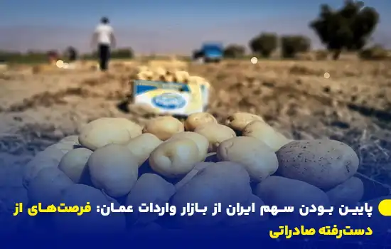 تصویری از برداشت سیب‌زمینی در یک زمین کشاورزی با تمرکز بر محصولات و محو شدن تصویر در پس‌زمینه.