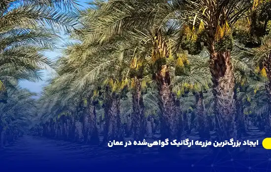 ایجاد بزرگترین مزرعه ارگانیک گواهیشده در عمان 7 ایجاد بزرگترین مزرعه ارگانیک گواهیشده در عمان