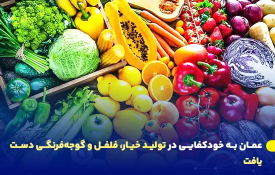 oman achieves self sufficiency in cucumber pepper and tomato production