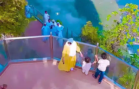 An image of a glass observation deck in Oman, surrounded by lush nature, representing the country’s clean environment and high quality of life.