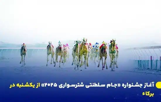 آغاز جشنواره «جام سلطنتی شترسواری ۲۰۲۵» از یکشنبه در برکاء 4 تصویر از مسابقات شتررانی سلطنتی عمان با شترها در حال دویدن در زمین مسابقه